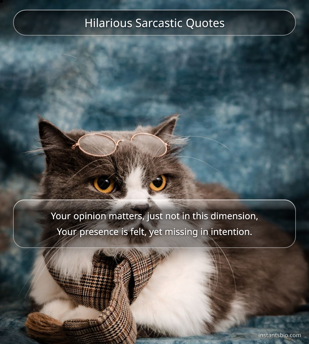 Hilarious Sarcastic Quotes