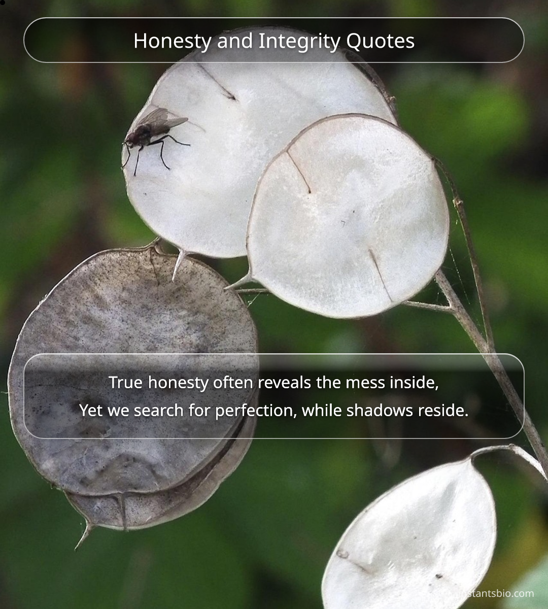 Honesty and Integrity Quotes - honesty quotes
