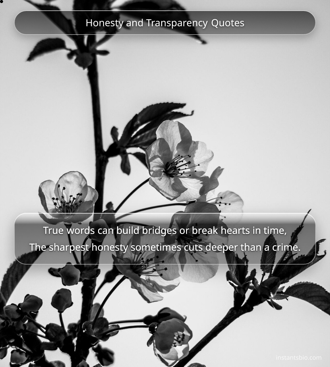 Honesty and Transparency Quotes - honesty quotes