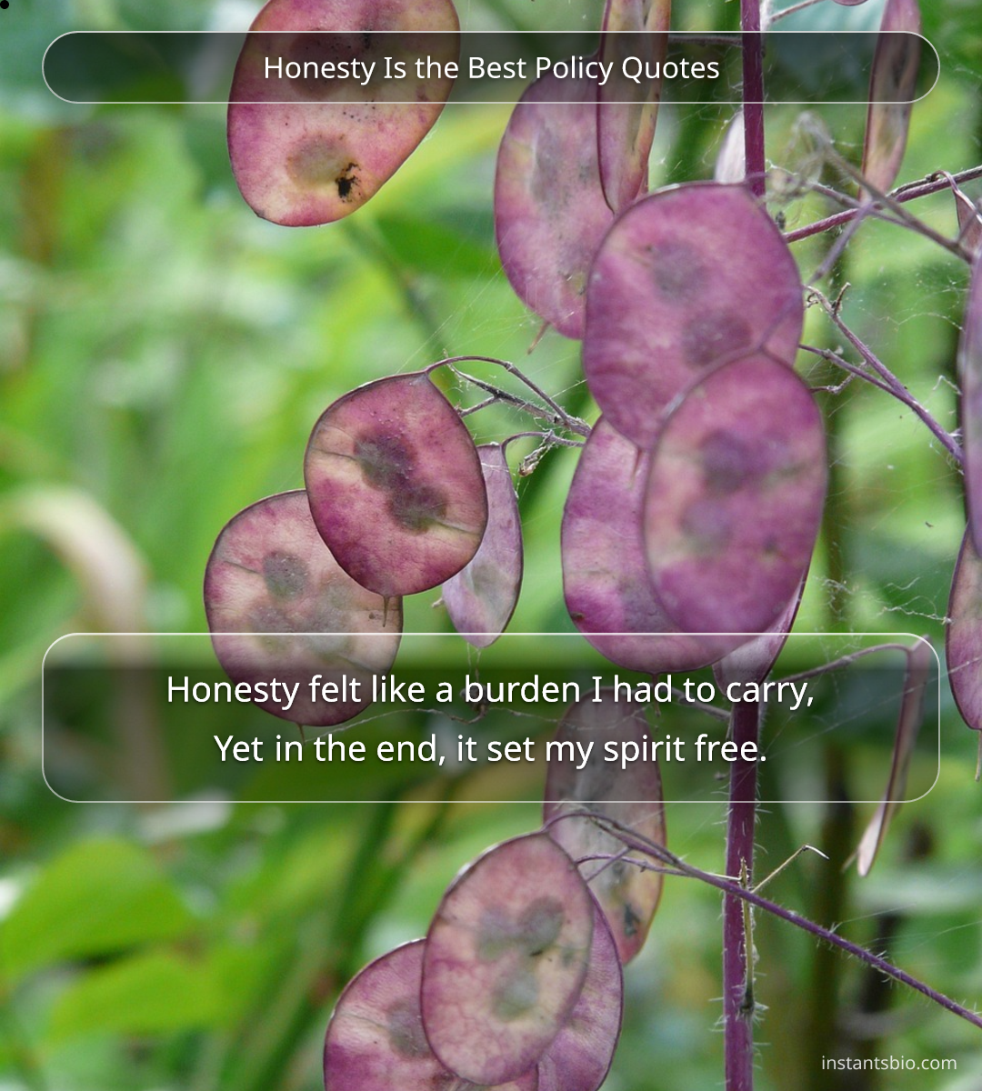 Honesty Is the Best Policy Quotes - honesty quotes