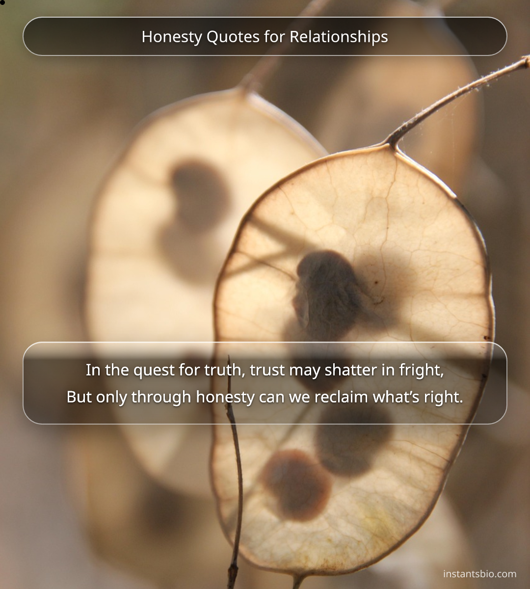 Honesty Quotes for Relationships
