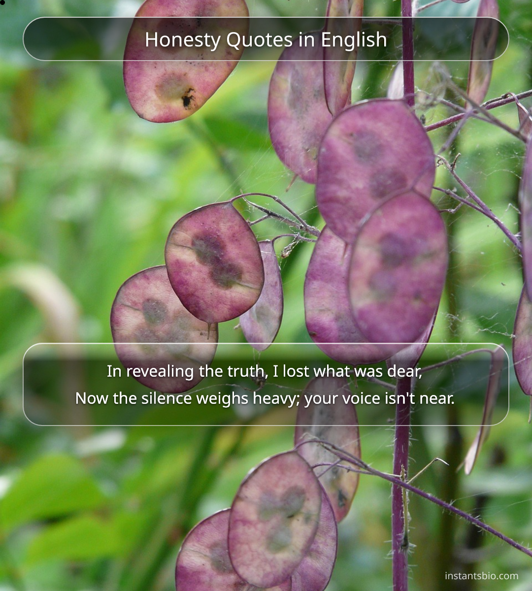 Honesty Quotes in English
