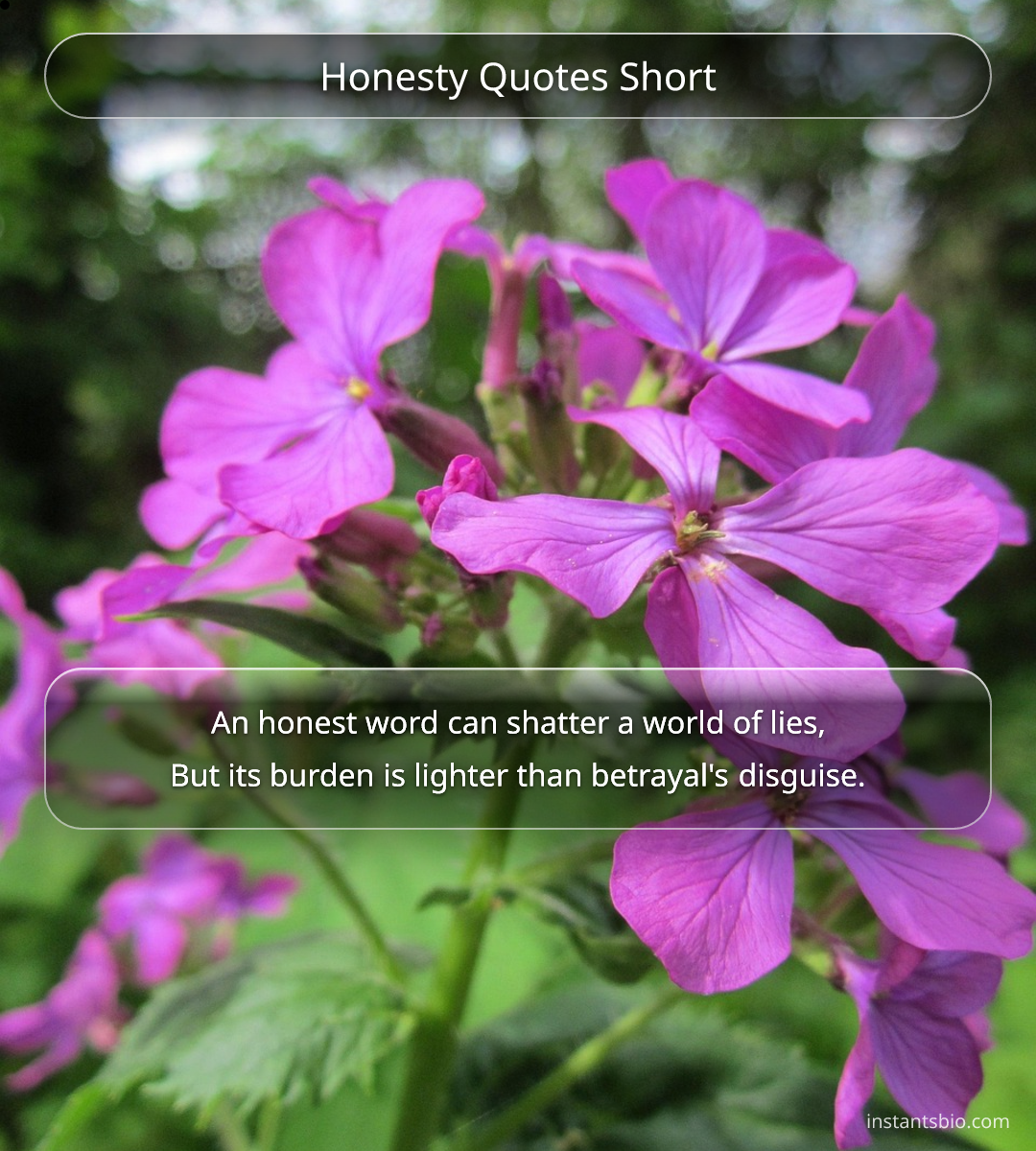 Honesty Quotes Short
