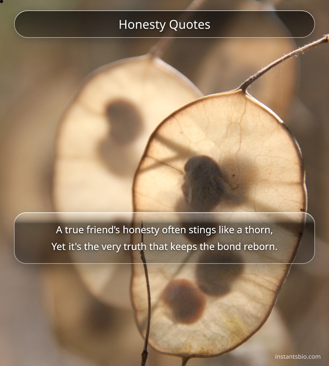Honesty Quotes