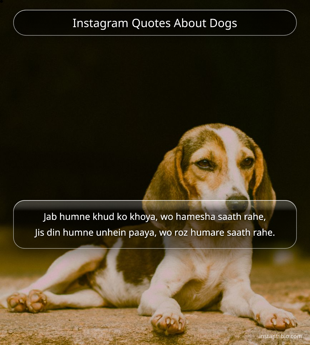 Instagram Quotes About Dogs