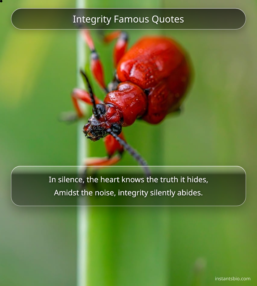 Integrity Famous Quotes - integrity quotes