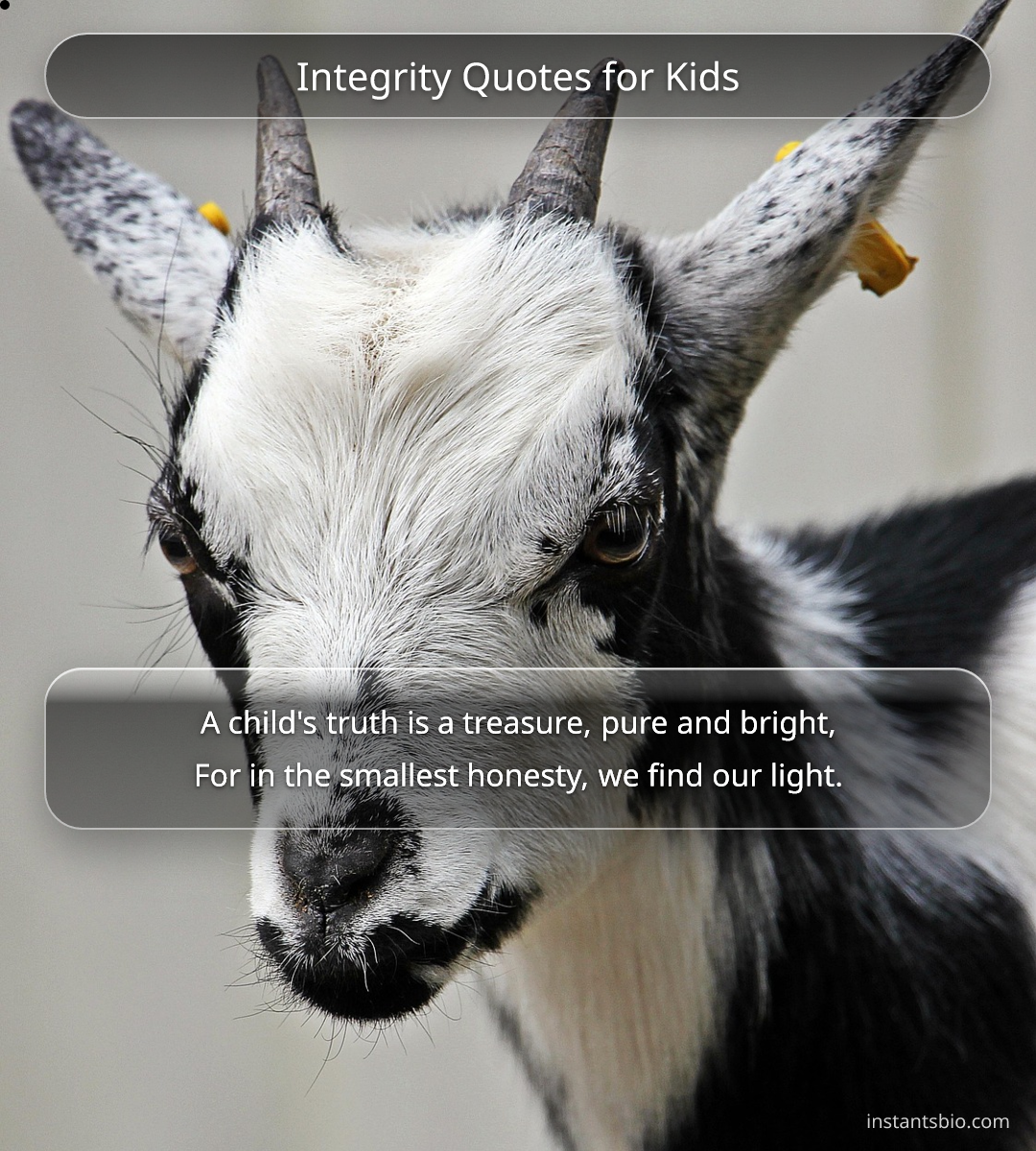 Integrity Quotes for Kids