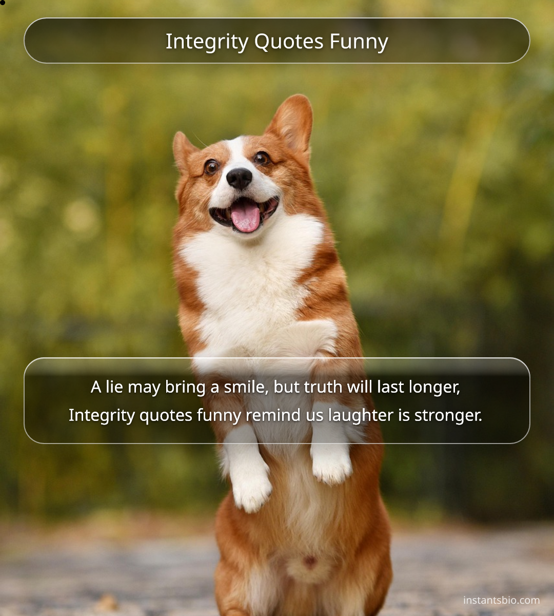 Integrity Quotes Funny