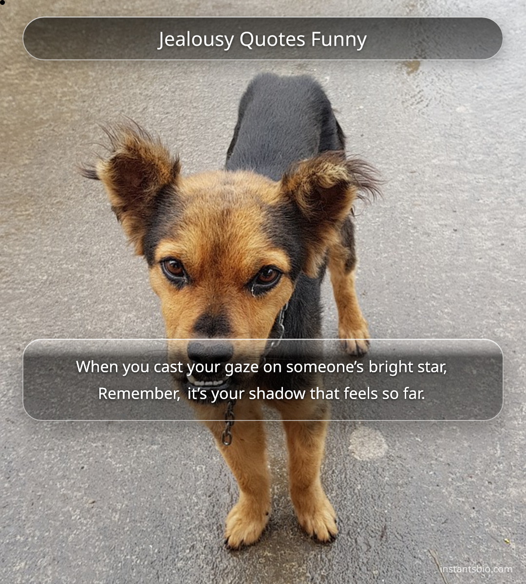 Jealousy Quotes Funny