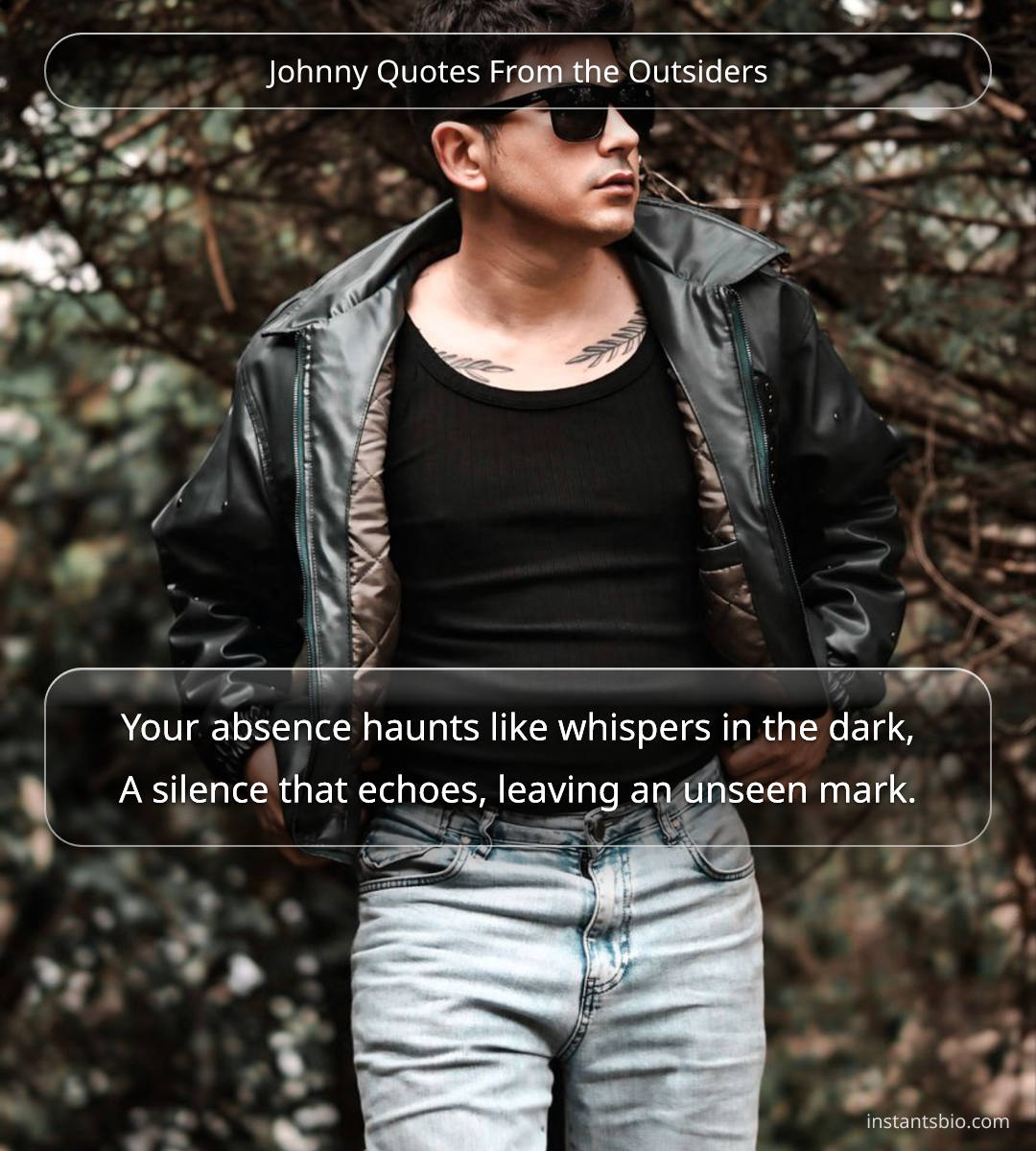 Johnny Quotes From the Outsiders