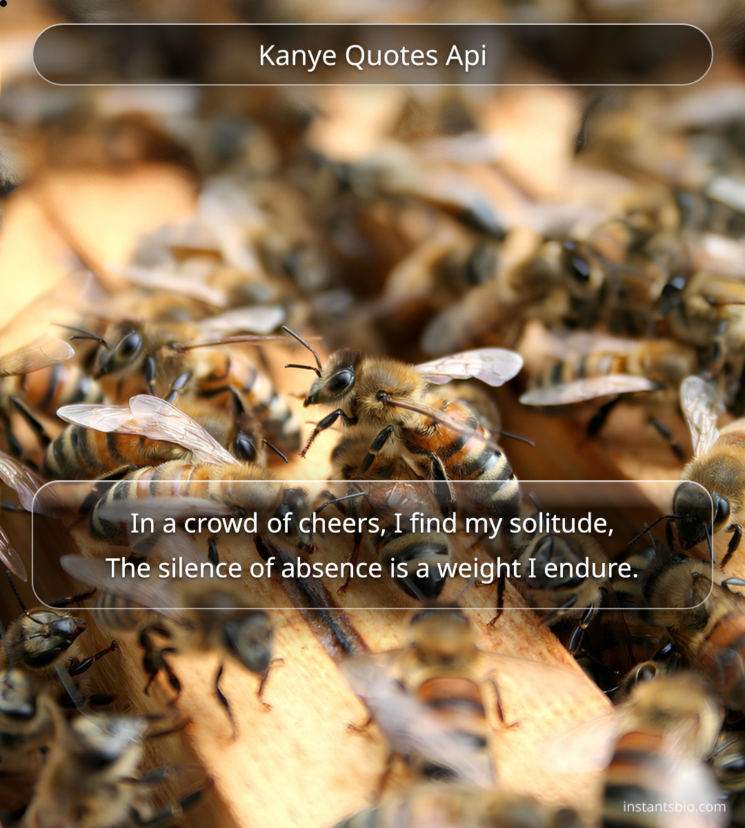 Kanye Quotes Api