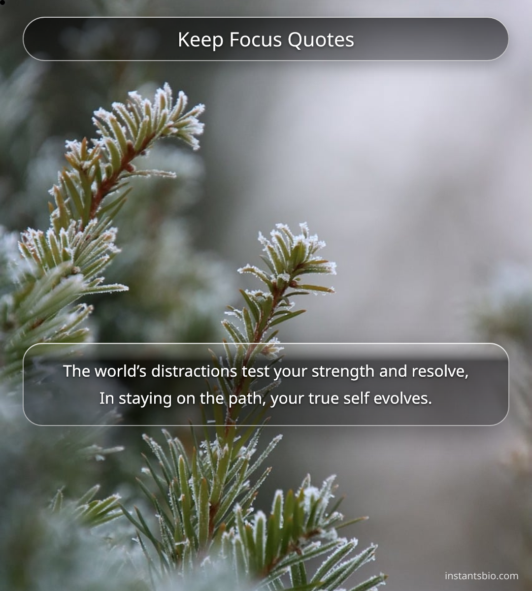 Keep Focus Quotes