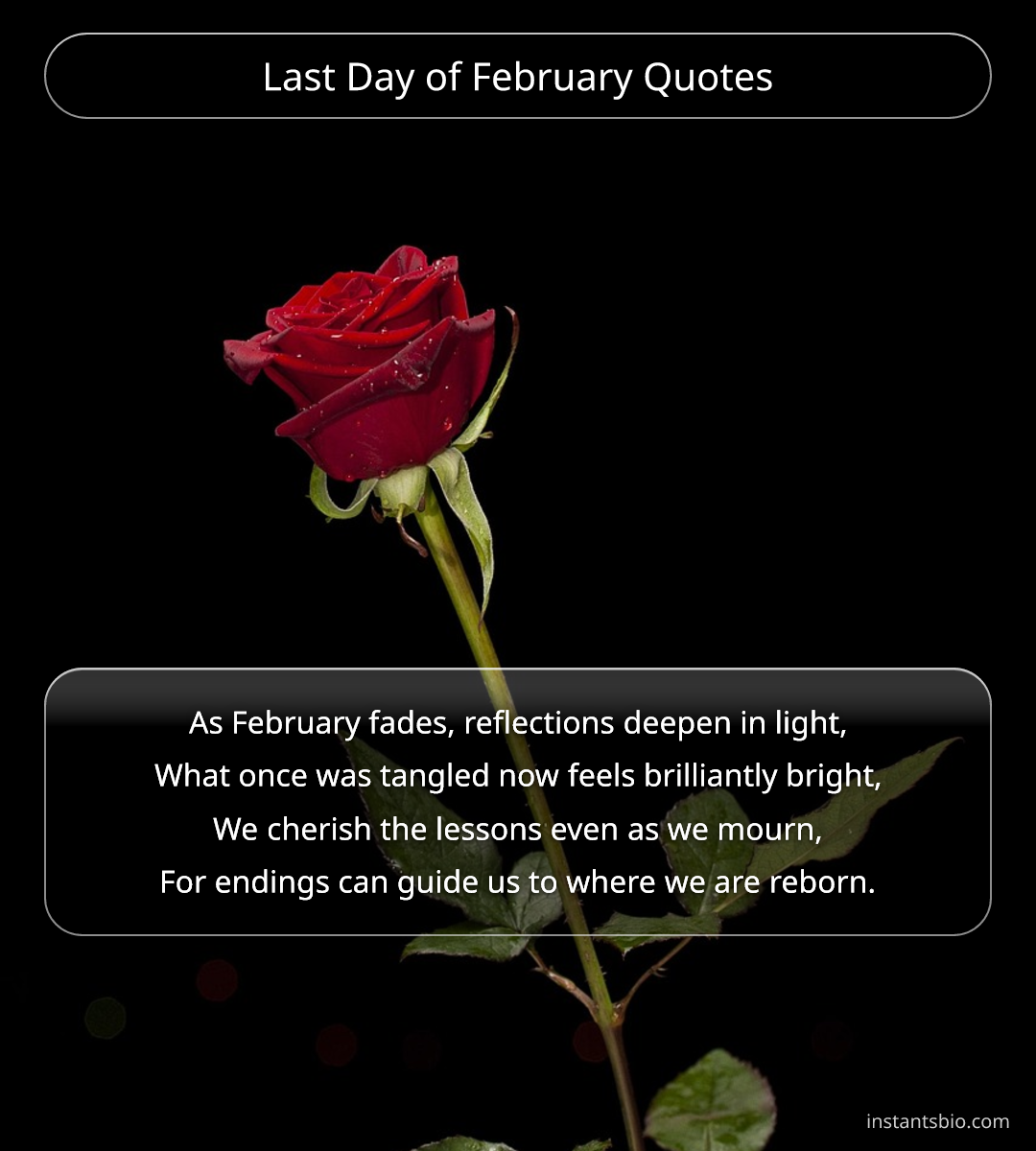 Last Day of February Quotes