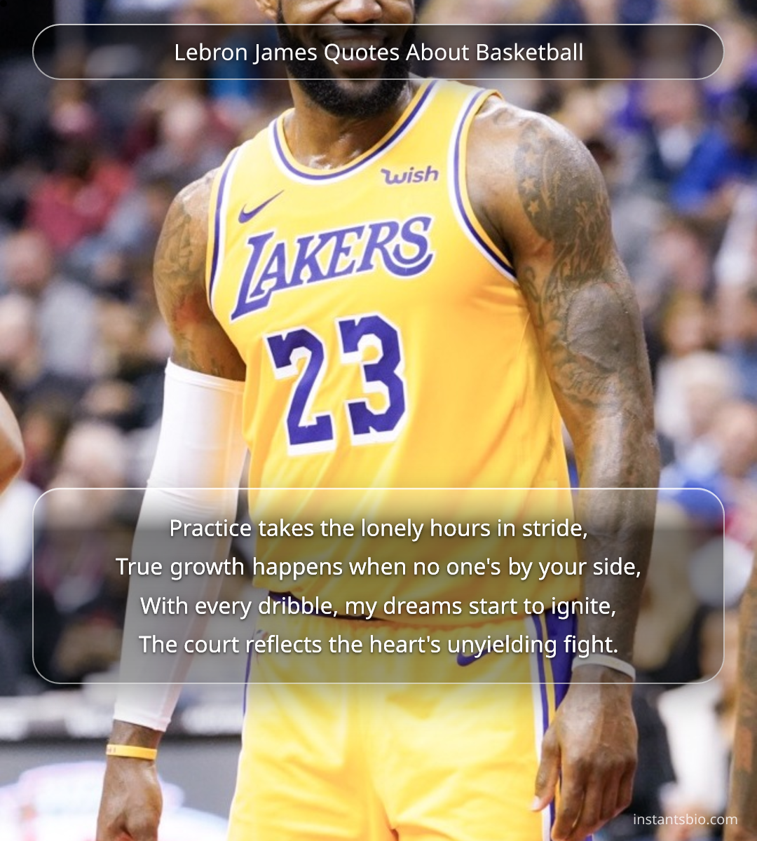 Lebron James Quotes About Basketball