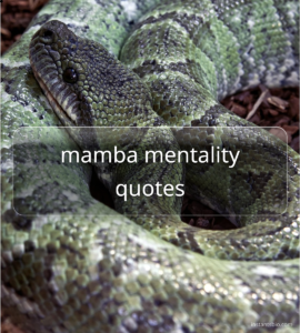 mamba mentality quotes