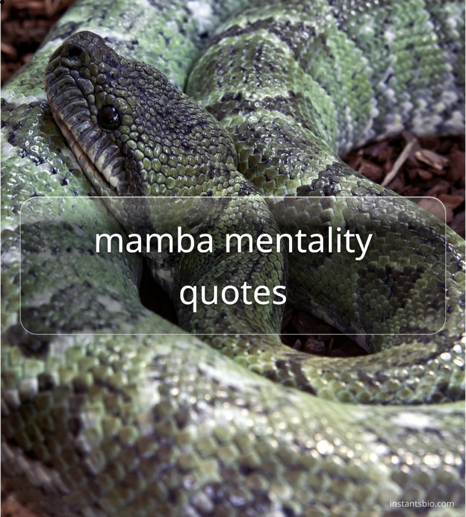 mamba mentality quotes