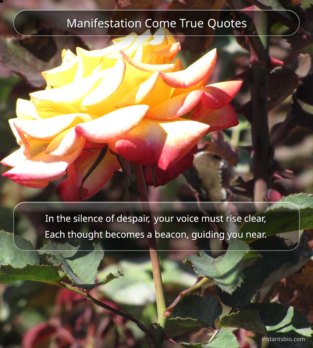 Manifestation Come True Quotes - manifestation quotes