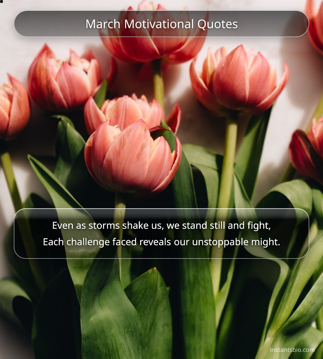 March Motivational Quotes - march quotes
