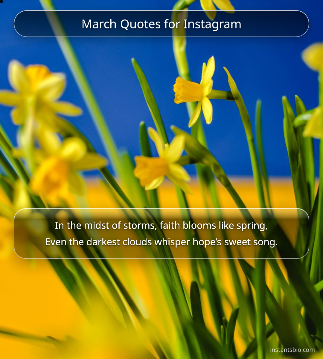 March Quotes for Instagram