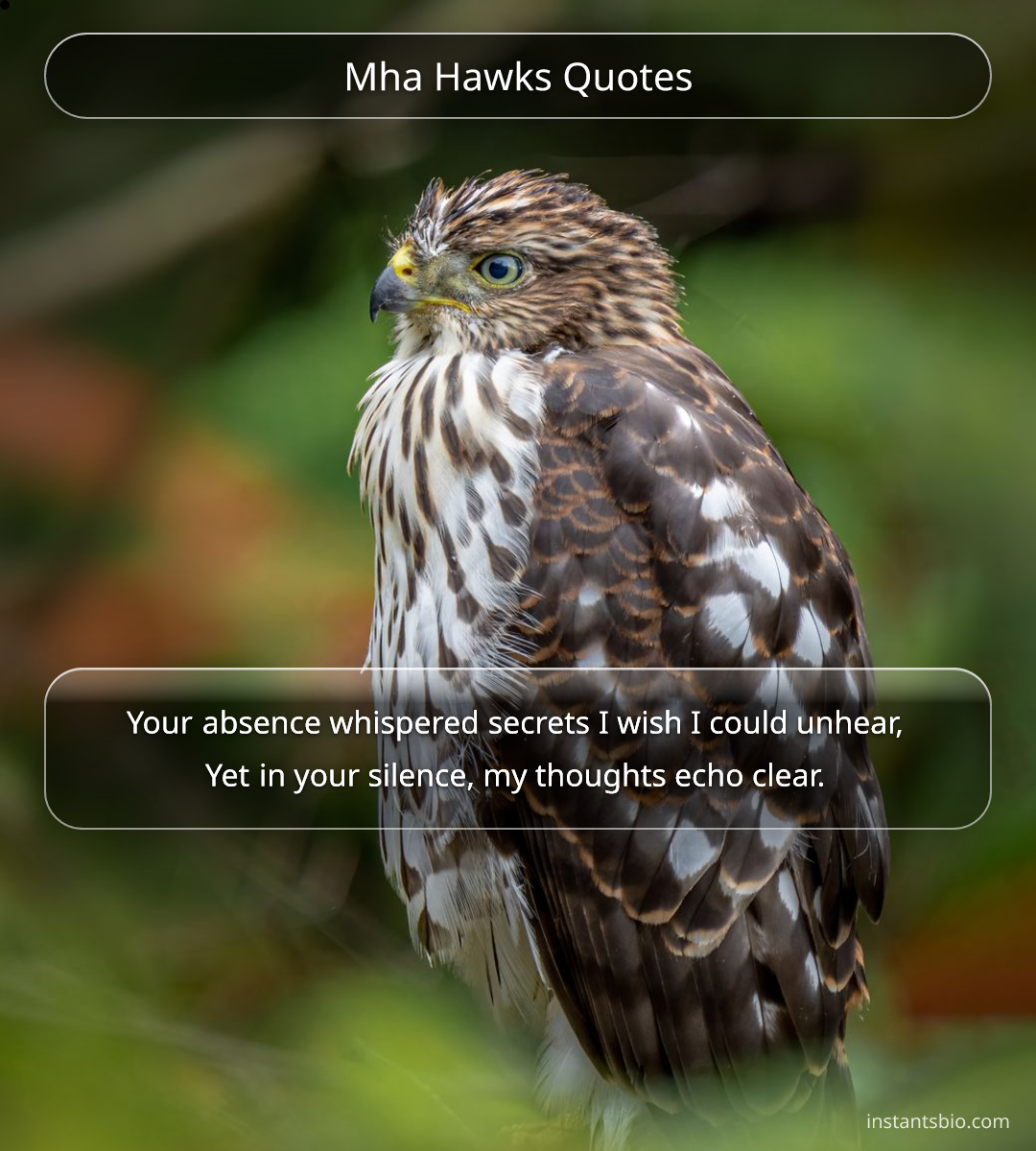 Mha Hawks Quotes - mha quotes