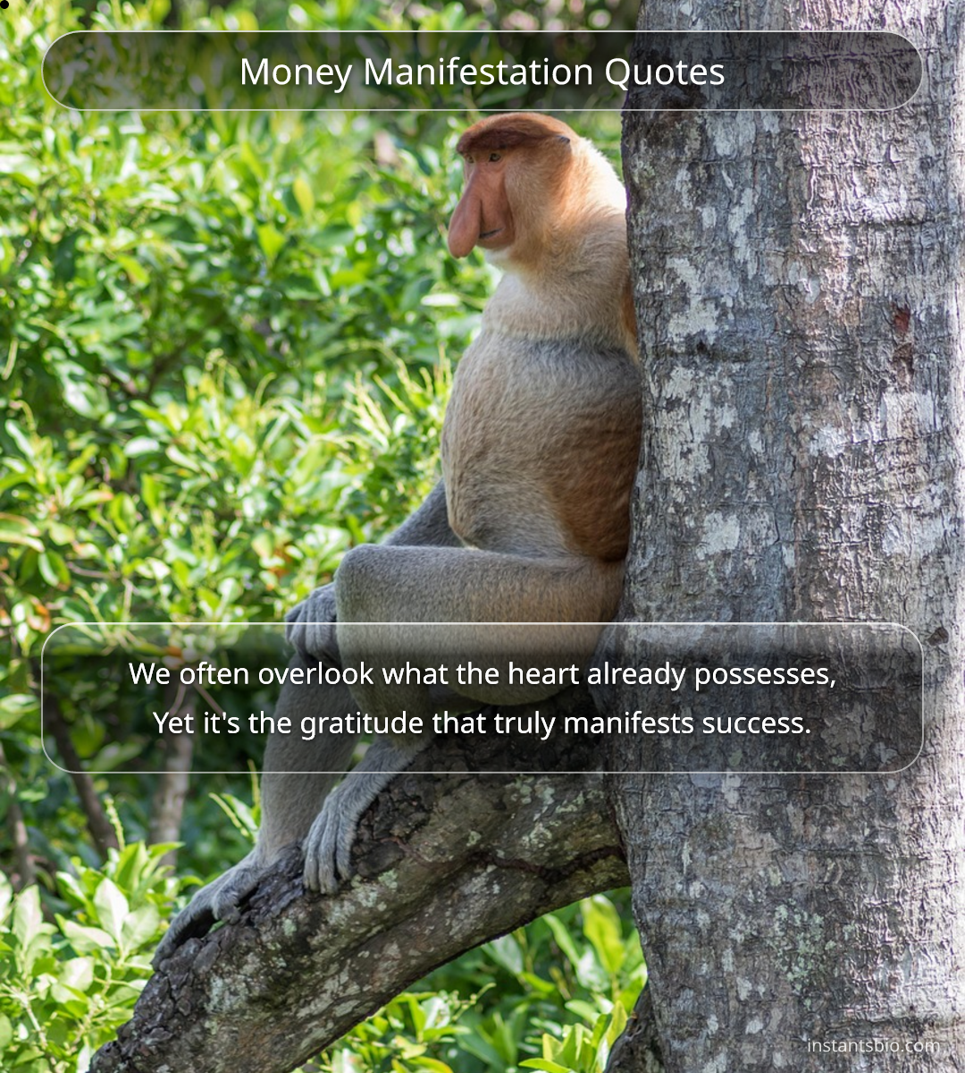 Money Manifestation Quotes