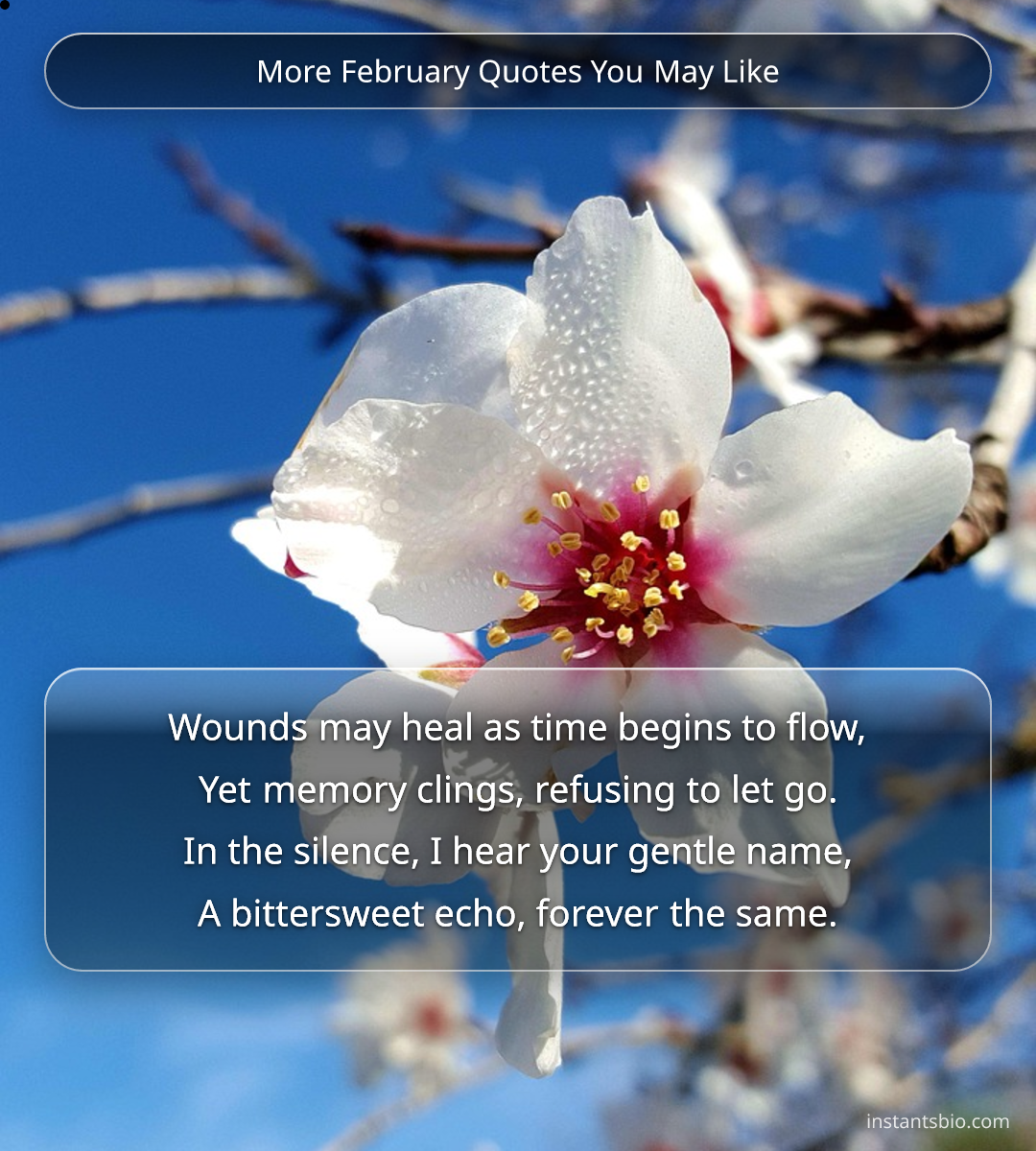 More February Quotes You May Like