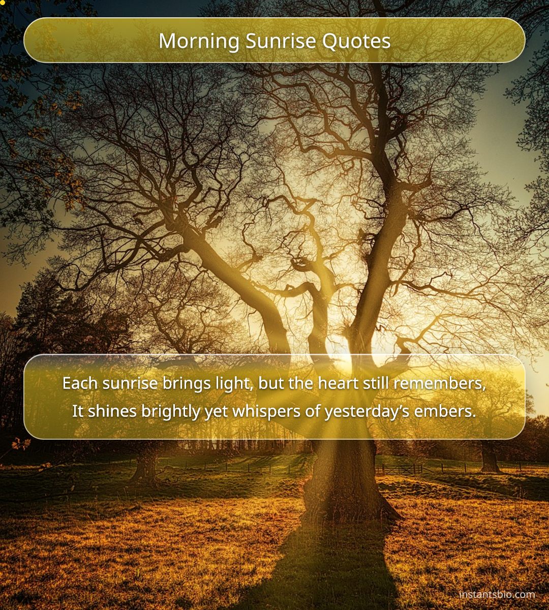 Morning Sunrise Quotes
