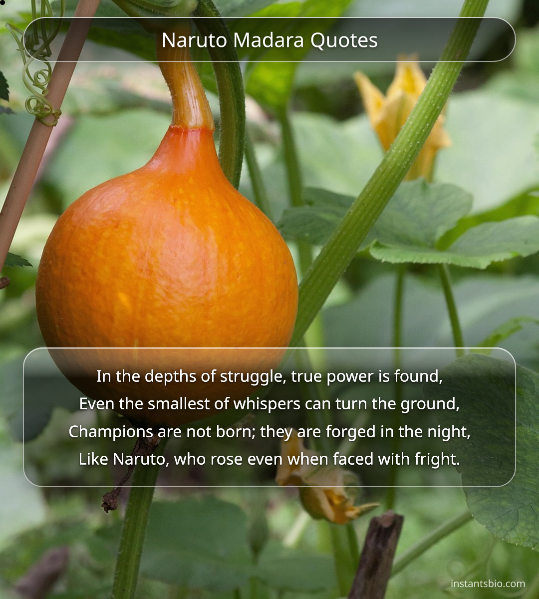 Naruto Madara Quotes - Naruto Quotes