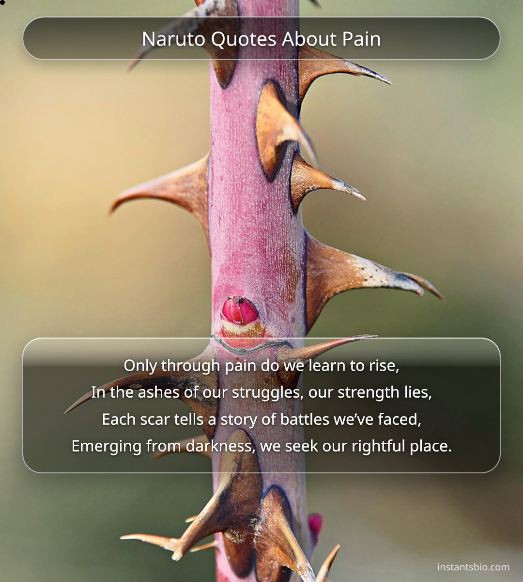 Naruto Quotes About Pain