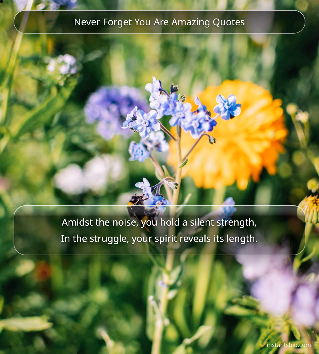 Never Forget You Are Amazing Quotes
