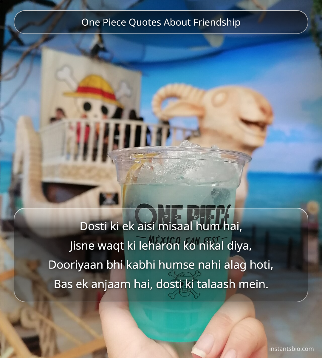 One Piece Quotes About Friendship