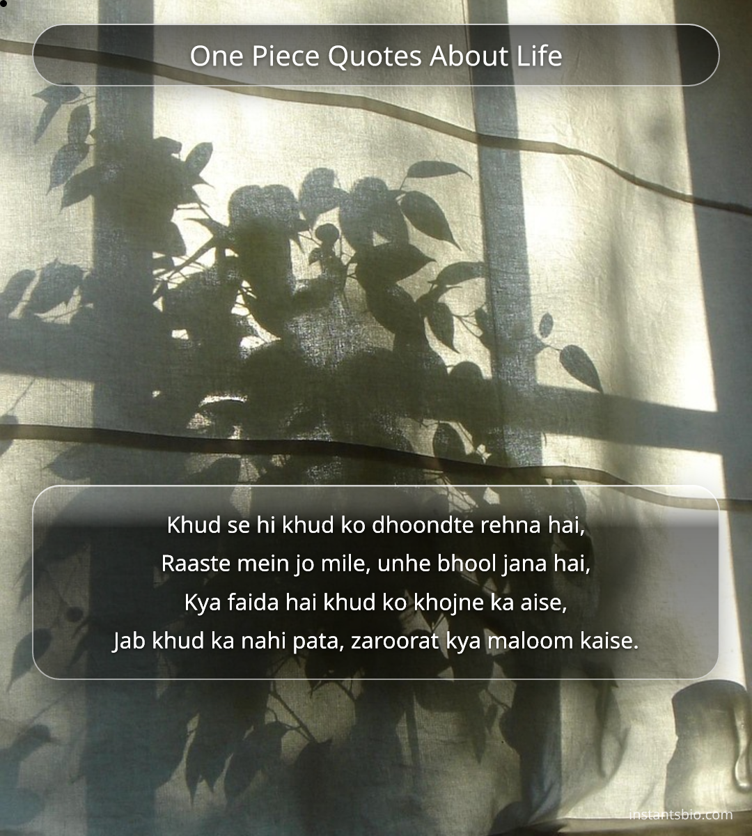 One Piece Quotes About Life