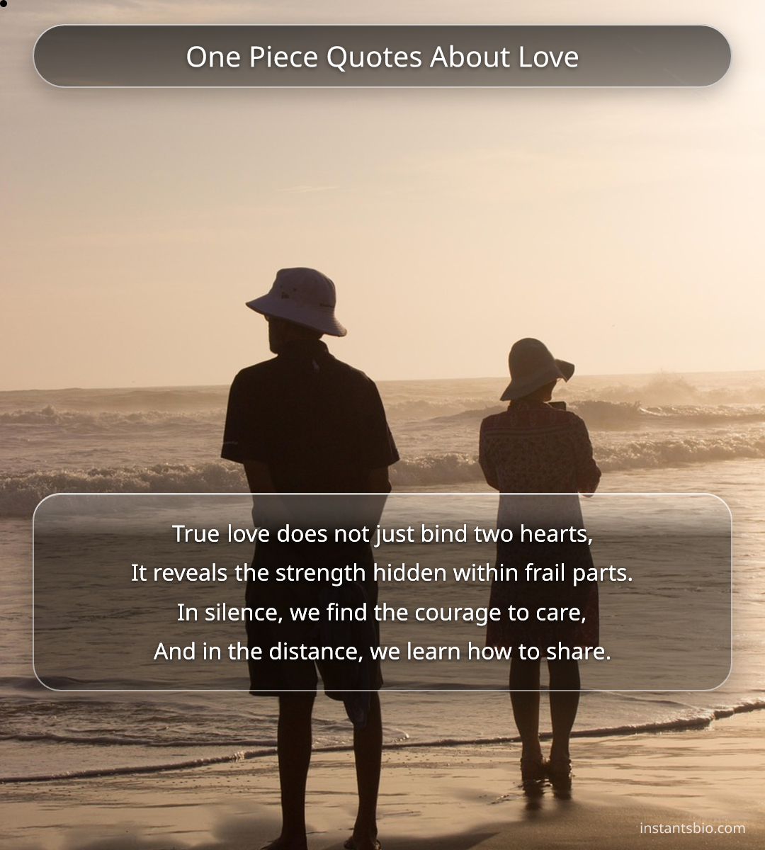 One Piece Quotes About Love