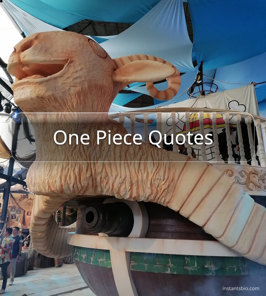 One Piece Quotes
