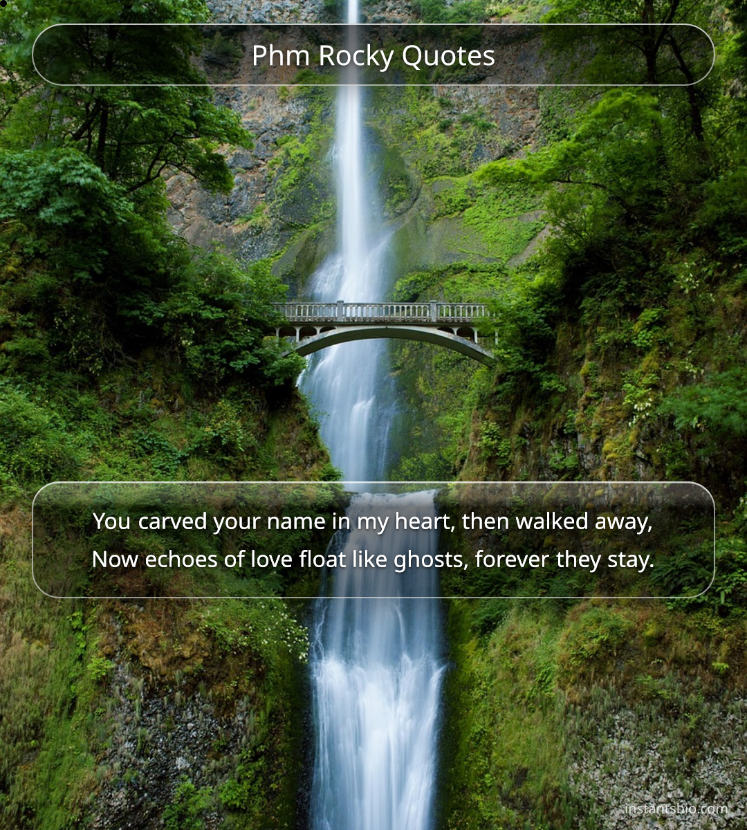 Phm Rocky Quotes