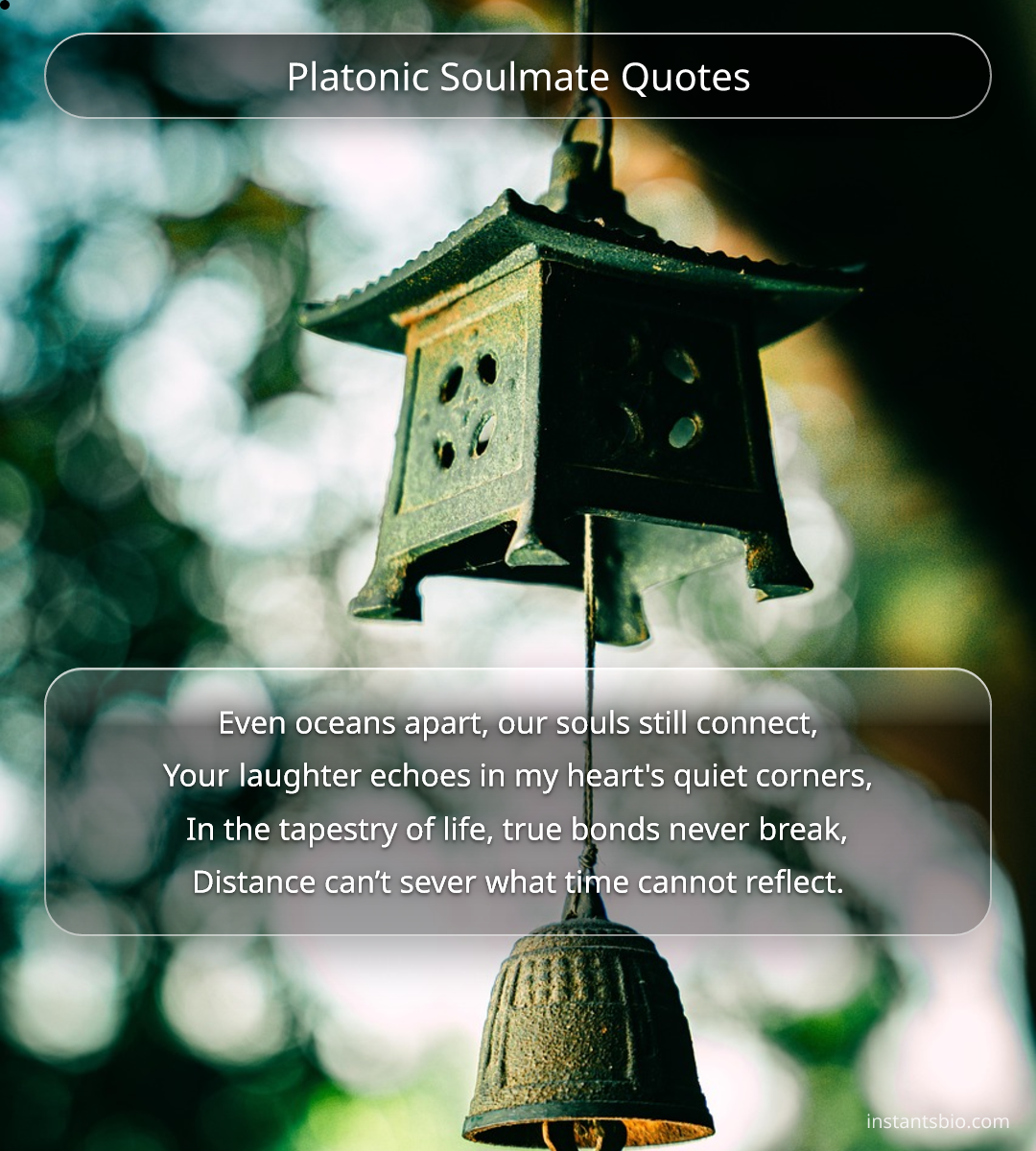 Platonic Soulmate Quotes