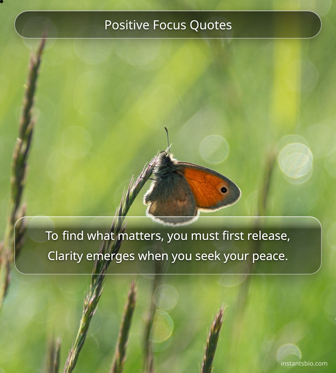 Positive Focus Quotes