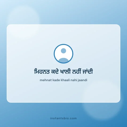 Instagram Bio Punjabi card: mehnat kade khaali nahi jaandi