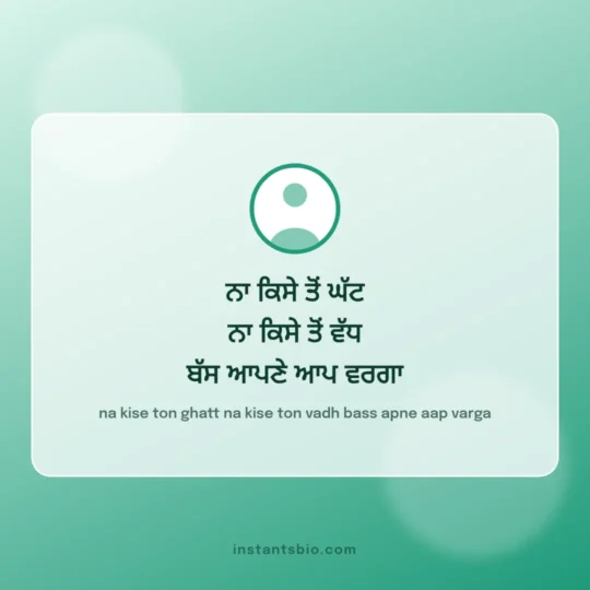 Instagram Bio Punjabi card: na kise ton ghatt