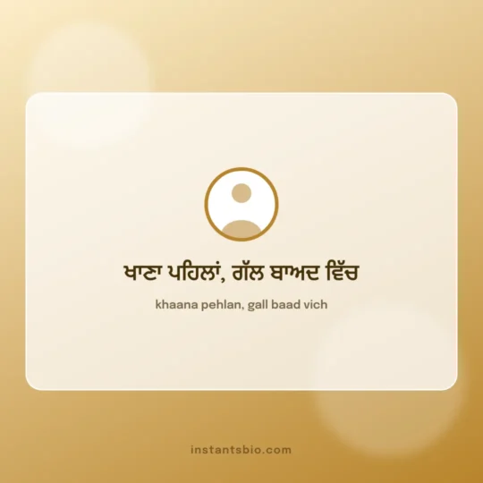 Instagram Bio Punjabi card: khaana pehlan, gall baad vich