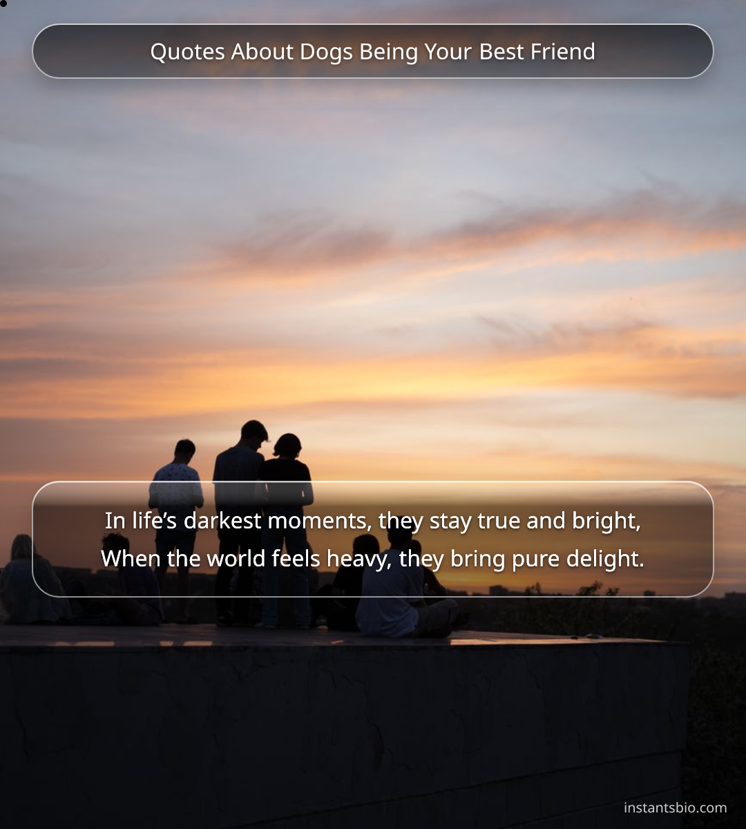 Quotes About Dogs Being Your Best Friend