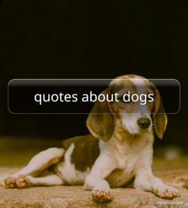 quotes about dogs
