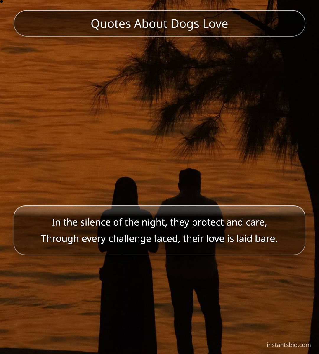 Quotes About Dogs Love