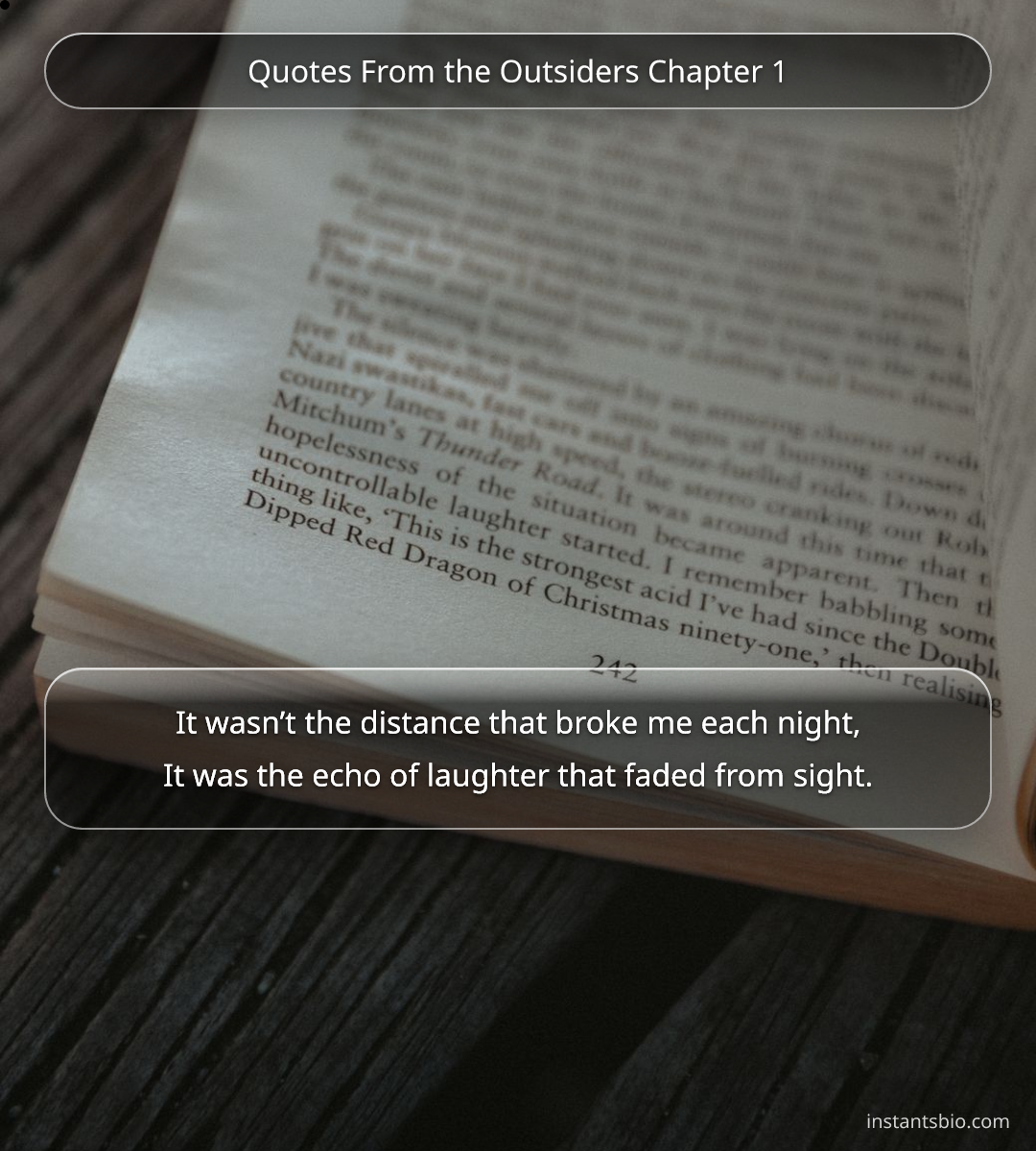 Quotes From the Outsiders Chapter 1