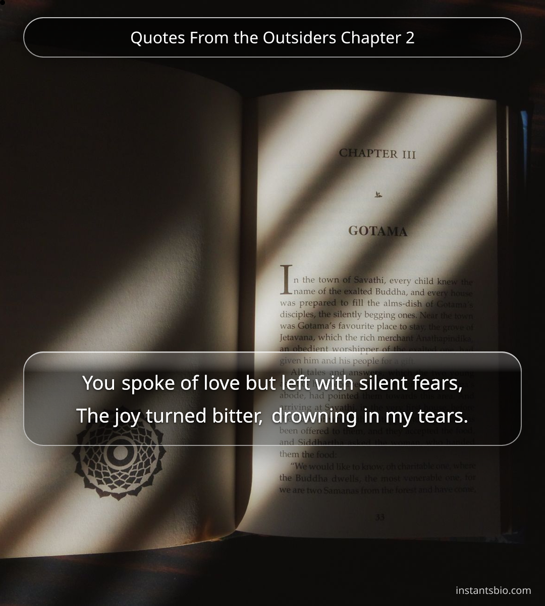 Quotes From the Outsiders Chapter 2