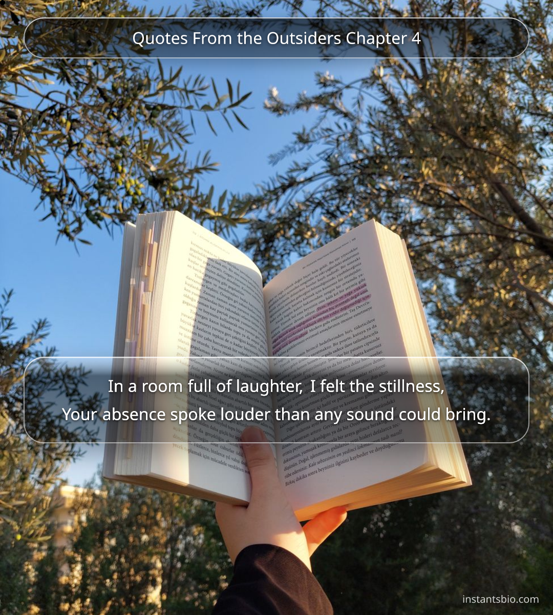 Quotes From the Outsiders Chapter 4
