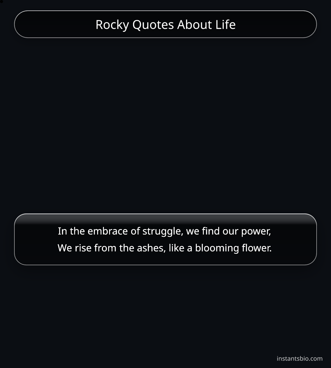 Rocky Quotes About Life