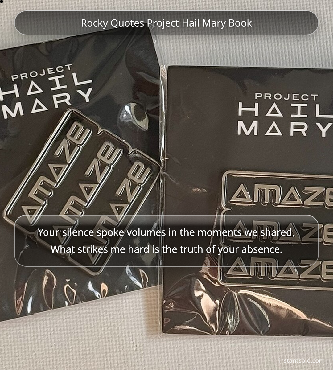 Rocky Quotes Project Hail Mary Book