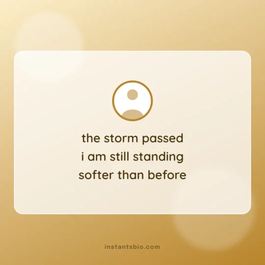 Sad Bio For Instagram card: the storm passed