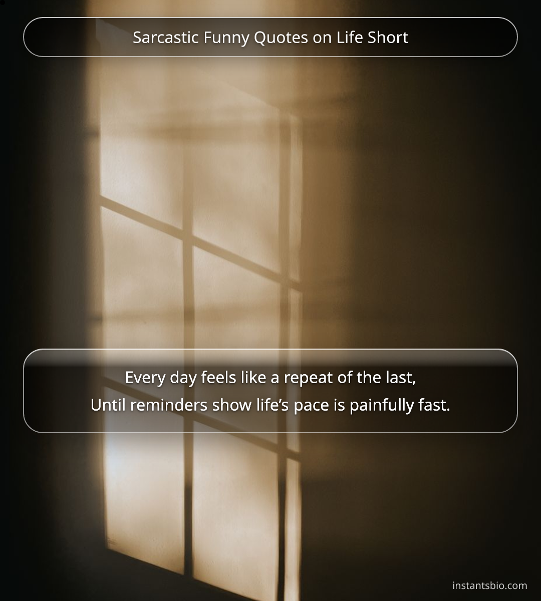 Sarcastic Funny Quotes on Life Short - sarcastic quotes